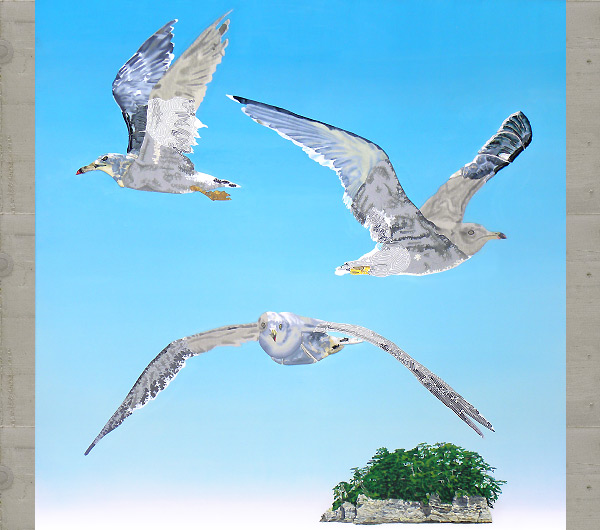 Seagulls of Matsushima No.6. 2009 160 x 160cm