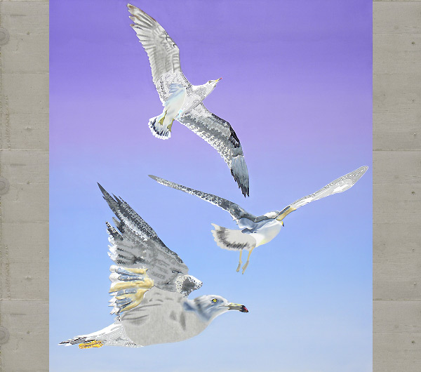 Seagulls of Matsushima No.8. 2009 150 x 130cm
