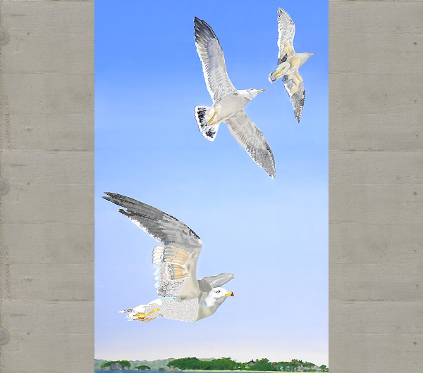 Seagulls of Matsushima No.11. 2009 190 x 120cm