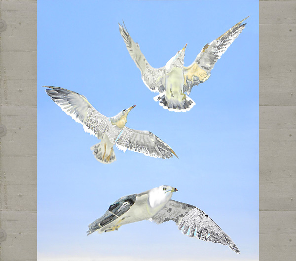 Seagulls of Matsushima No.12. 2009 130 x 110cm