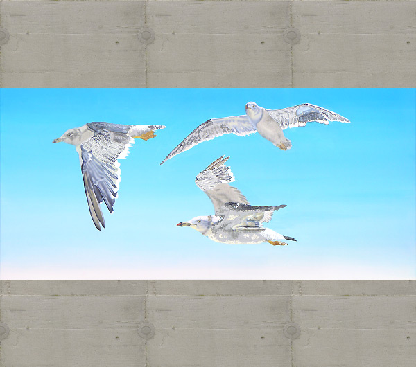 Seagulls of Matsushima No.14. 2009 80 x 170cm