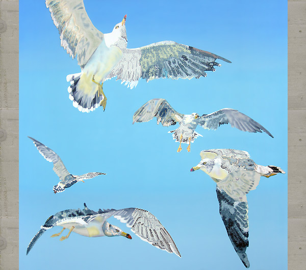 Seagulls in Harmony. 2008-2009 150 x 150cm
